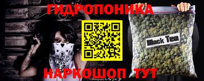 индика Комсомольск-на-Амуре